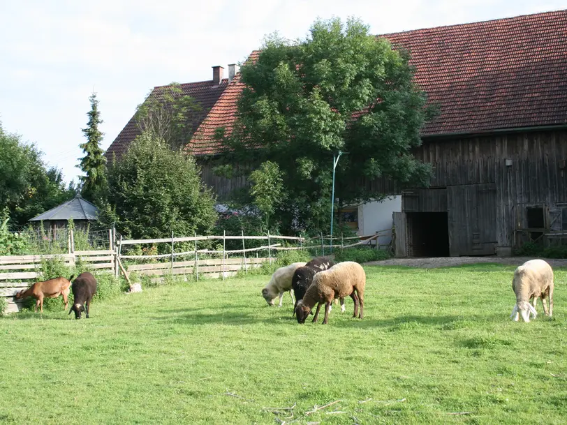 Permakulturhof Eselgarten in Mittelneufnach